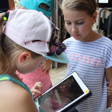 Digital scavenger hunt in the cowshed: The project conveys knowledge in an exciting way.