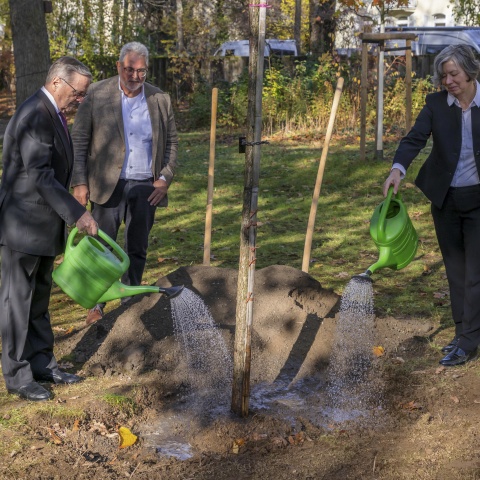 Robert Mayr, Prof. Dr. Thomas Speck und die Rektorin Prof. Dr. Kerstin Krieglstein beim Angießen des frisch gepflanzten Baumes