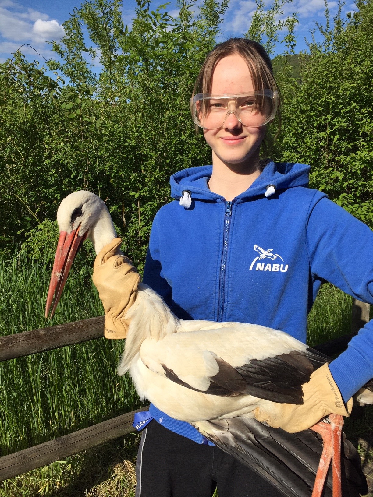 Junge Frau mit verletztem Weißstorch auf dem Arm