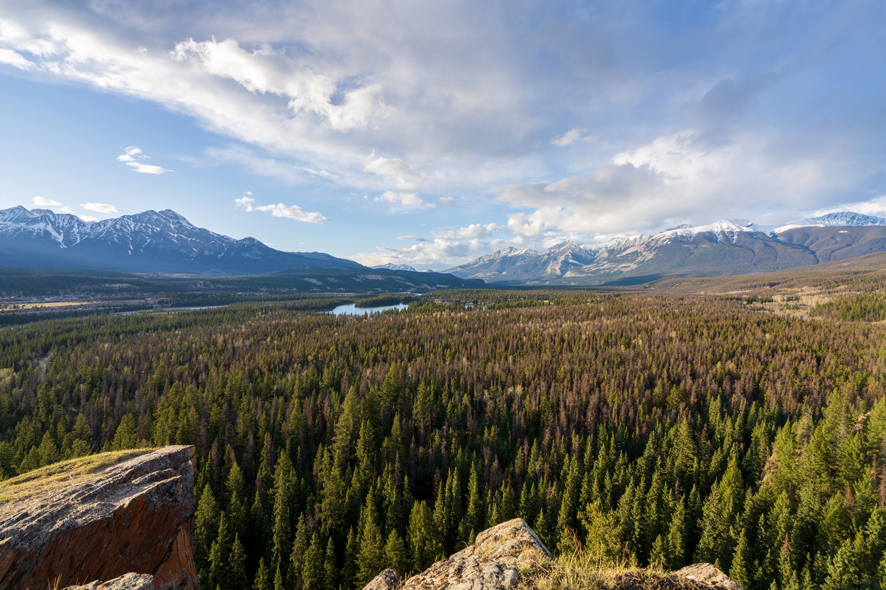 Wälder in Kanada