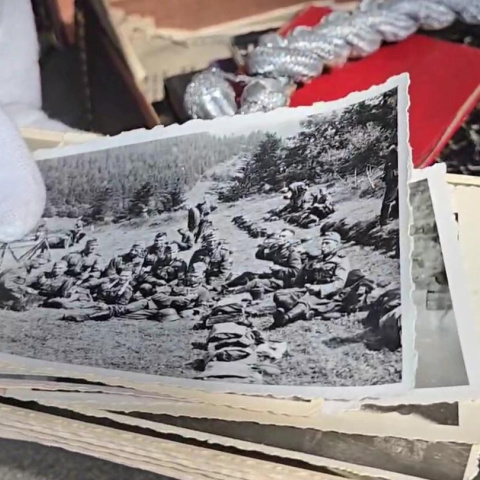 Ein Stapel historischer Fotos wird von einer Hand mit weißem Handschuh gehalten.