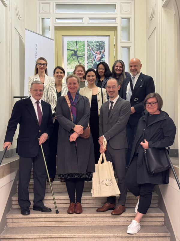 Visitors from the Eva Mayr-Stihl Foundation with the IUFRO team on a staircase.