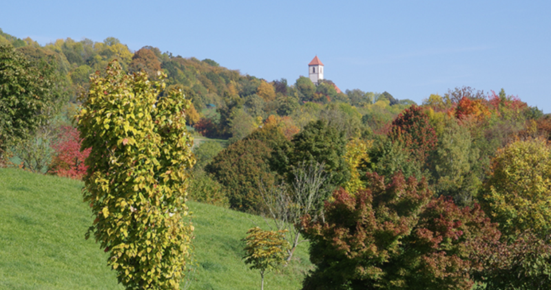 Der Forstbotanische Garten Göttingen im Herbst