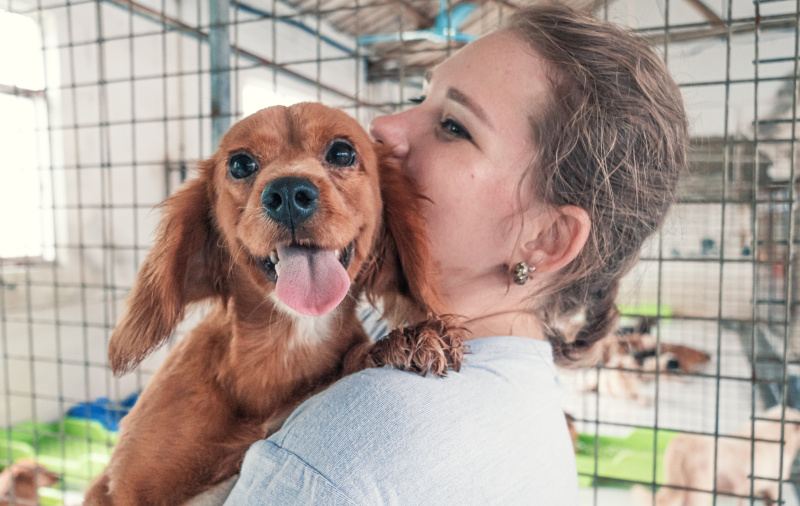 Frau im Tierheim mit Hund auf dem Arm.