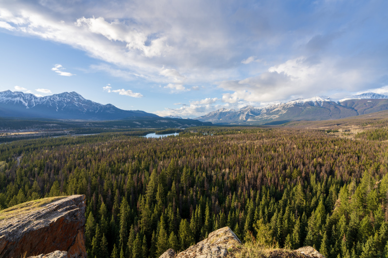 Wälder in Kanada