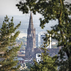 Freiburg, DEU, 12 08 2020  Prof  Daniela Kleinschmit, Professur für Forst- und Umweltpolitik und Prof  Uwe Schmidt, Professur für Wald- und Forstgeschichte No model release